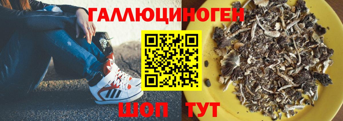 Псилоцибиновые грибы мухоморы Лесозаводск
