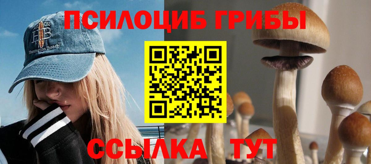 Галлюциногенные грибы мицелий  Псилоцибиновые грибы Psilocybe  Вход с VPN  Лесозаводск 